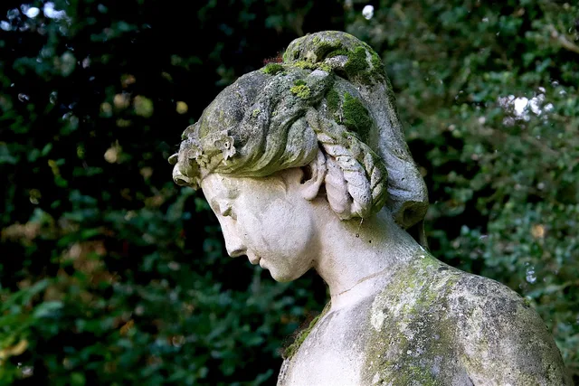 sculpture, stone statue, freestone, profile, young woman, beautiful, gentle, head, public garden, trees, foliage, fall, nature, patina, mousse. Anforderungsprofile für Anbieter nachvollziehbar erstellen